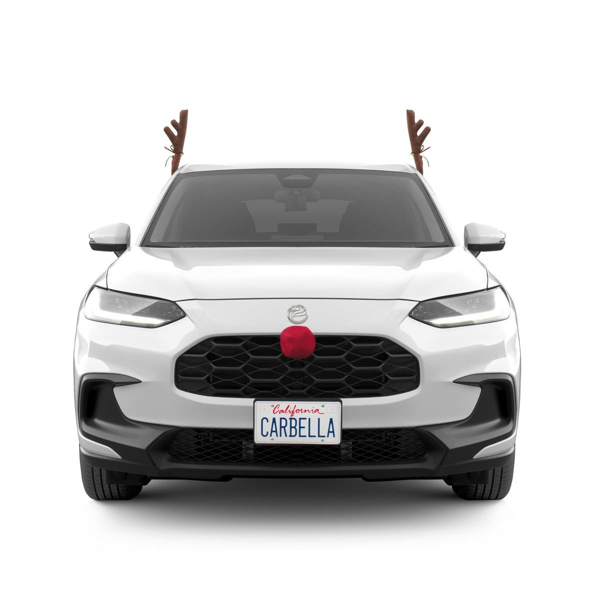 Carbella 3-Piece Holiday Antlers and Red Nose