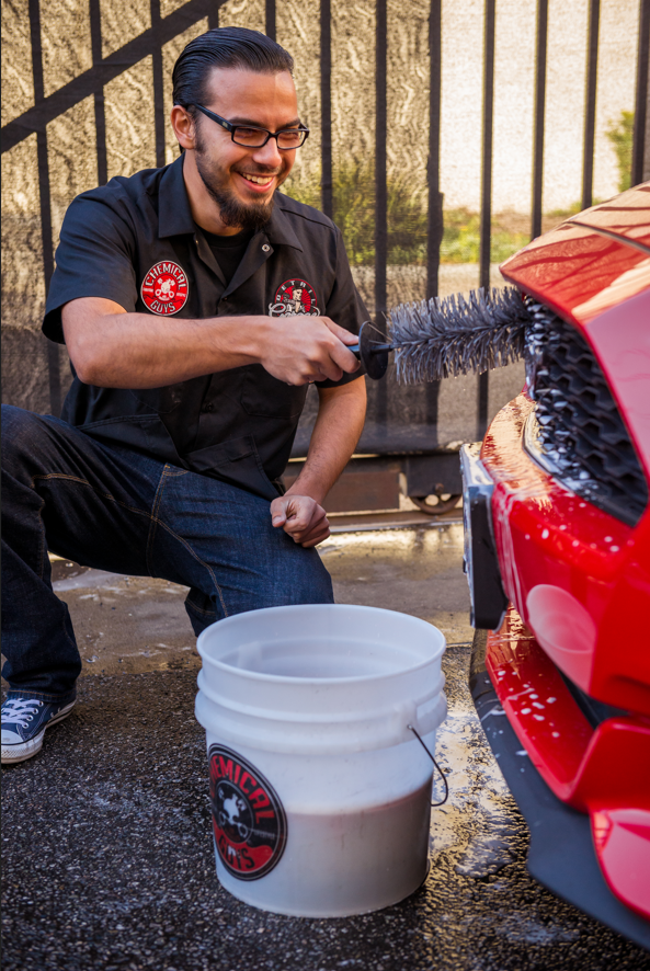 Chemical Guys Easy Reach Show Car Brush